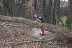 20181124_103749