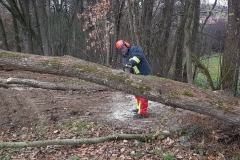20181124_103750