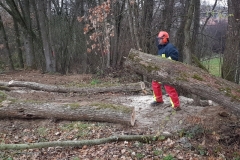 20181124_103759